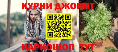 крисы Ипатово