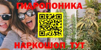 apvp Изобильный