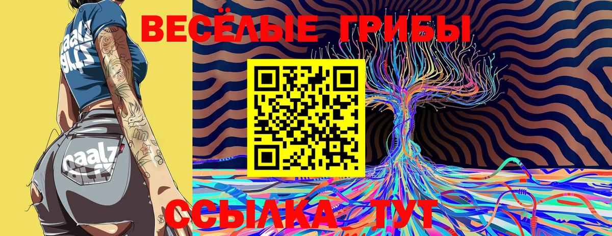 Псилоцибиновые грибы мухоморы Кулебаки