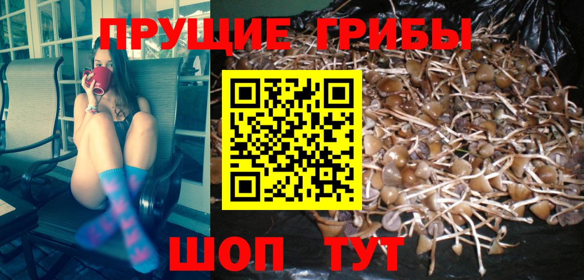 MDMA Кулебаки